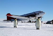 Penguins and Plane