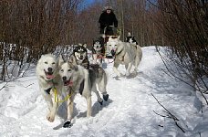 Me on dogsled