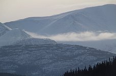 Morning fog, Yukon