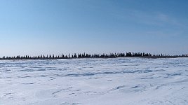 Shore of Mackenzie River