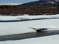 Yukon ice near Whitehorse