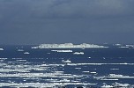 Icebergs swimming