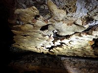 Wild part of Inner Space Cavern