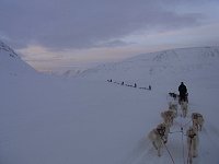 Returning on dog sled from Bolterdalen