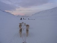 Returning on dog sled from Bolterdalen