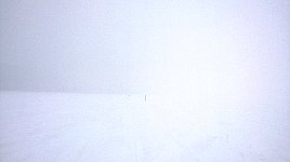 Bleak white trail on a snowy day