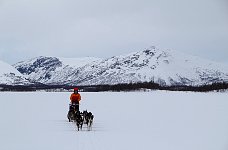 Dogsledding on Taerna Lake