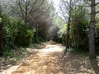 Deserted Route de la Convention