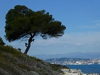 Island Sainte-Marguerite view towards Cannes