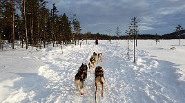 Running after lunch