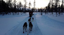 Late in the day on the trail