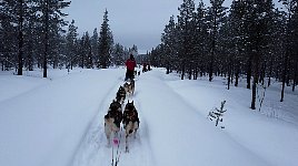 Trail to Juksaure cabin