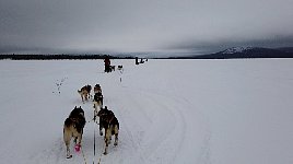 On the lake towards Laxholmen