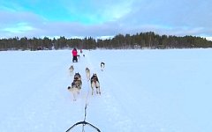 Arriving at the kennel in Jokkmokk