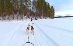 Arriving at the kennel in Jokkmokk