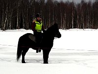 Catte with her horse