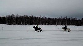 Kenneth and Catte with their horses