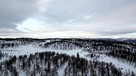 Scenery with snowmobiles